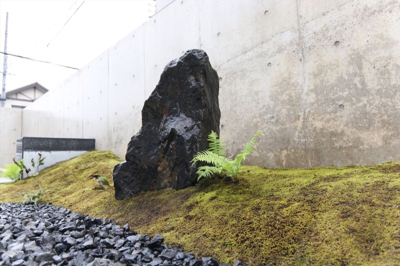 庭の風景
